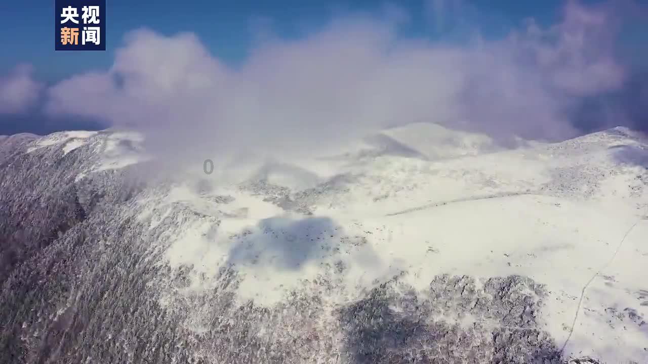 3D保龄球大赛