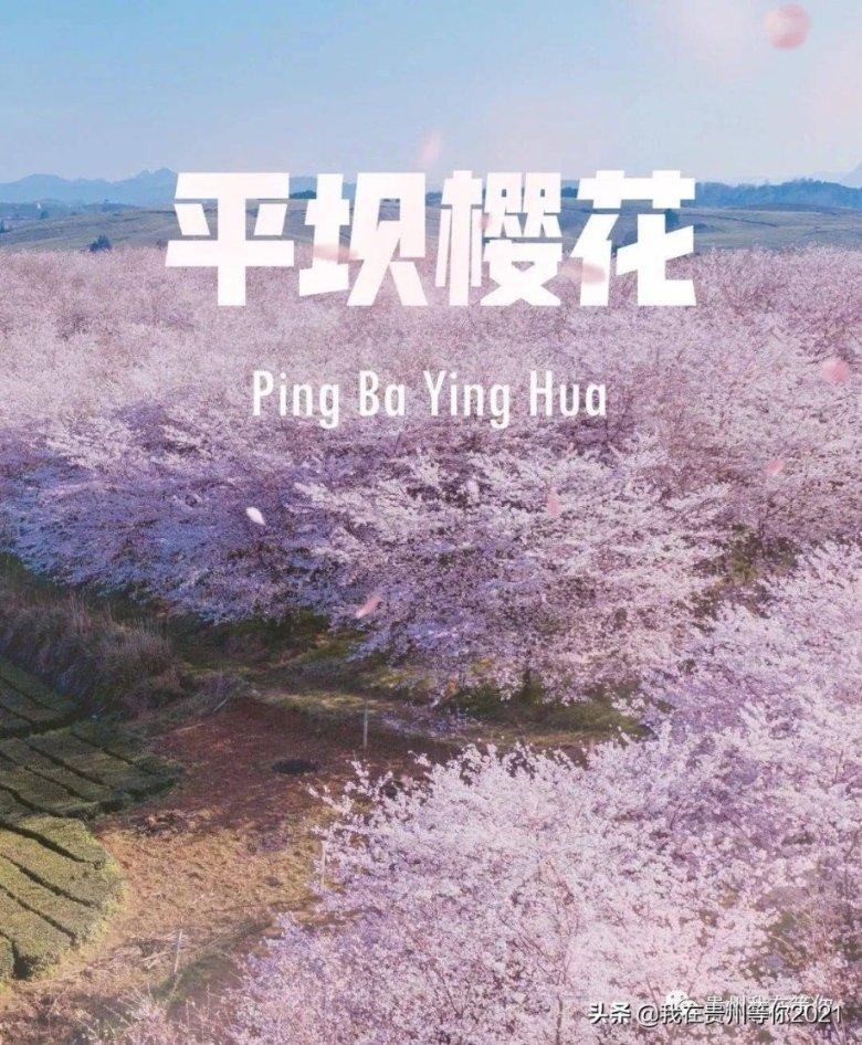 小公主大改造
