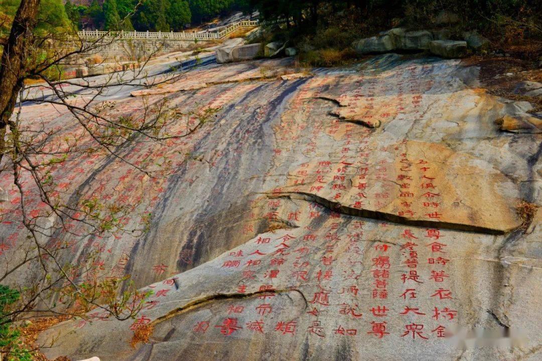 “地下室大盗”当天被抓！